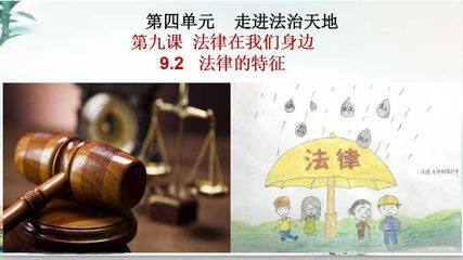 法律的特征