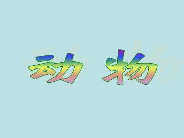 动物_课件5