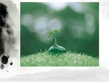 3* 雨的四季