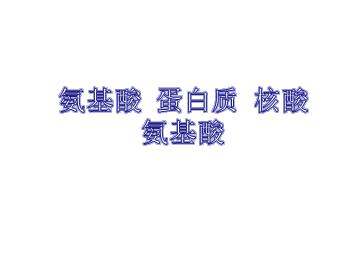 氨基酸 蛋白质 核酸_课件3