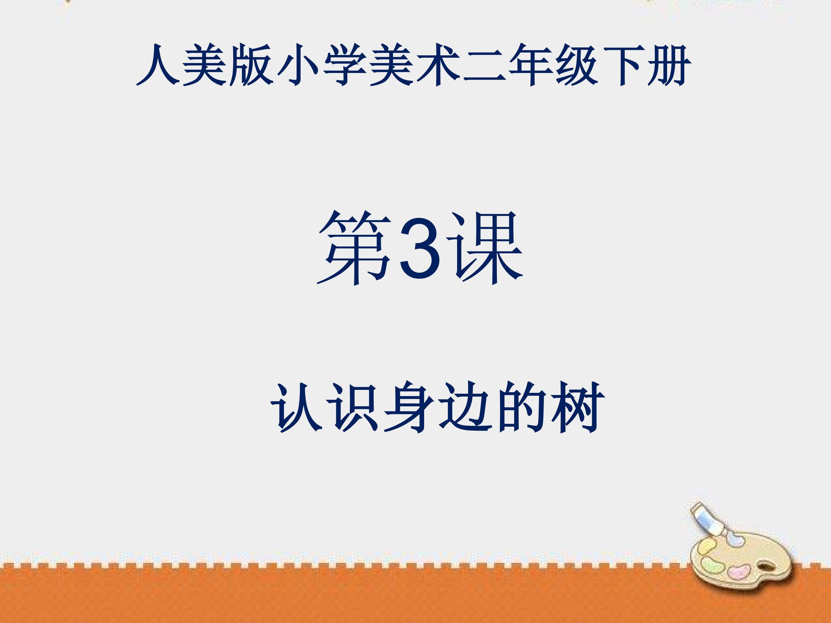 《认识身边的树》