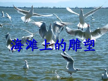 海滩上的雕塑_课件1