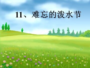 11 难忘的泼水节 