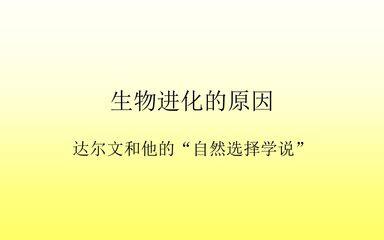 自然选择
