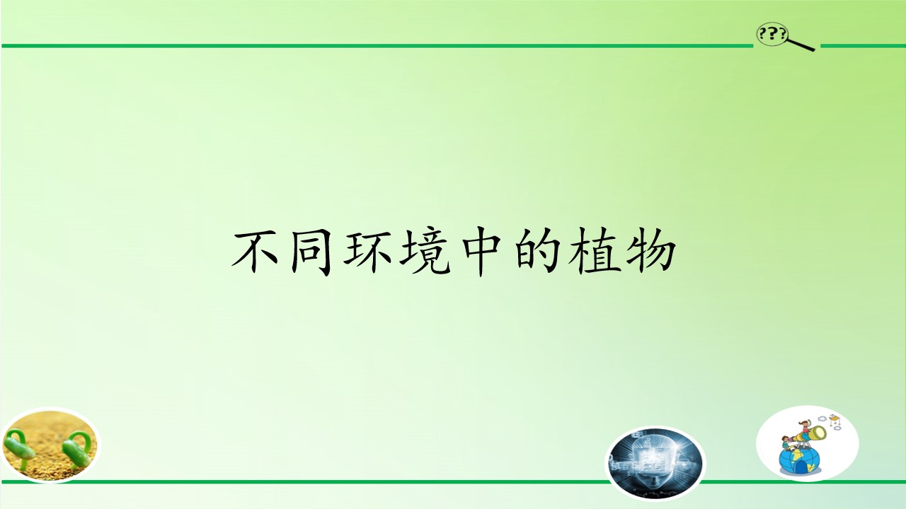 不同环境中的植物