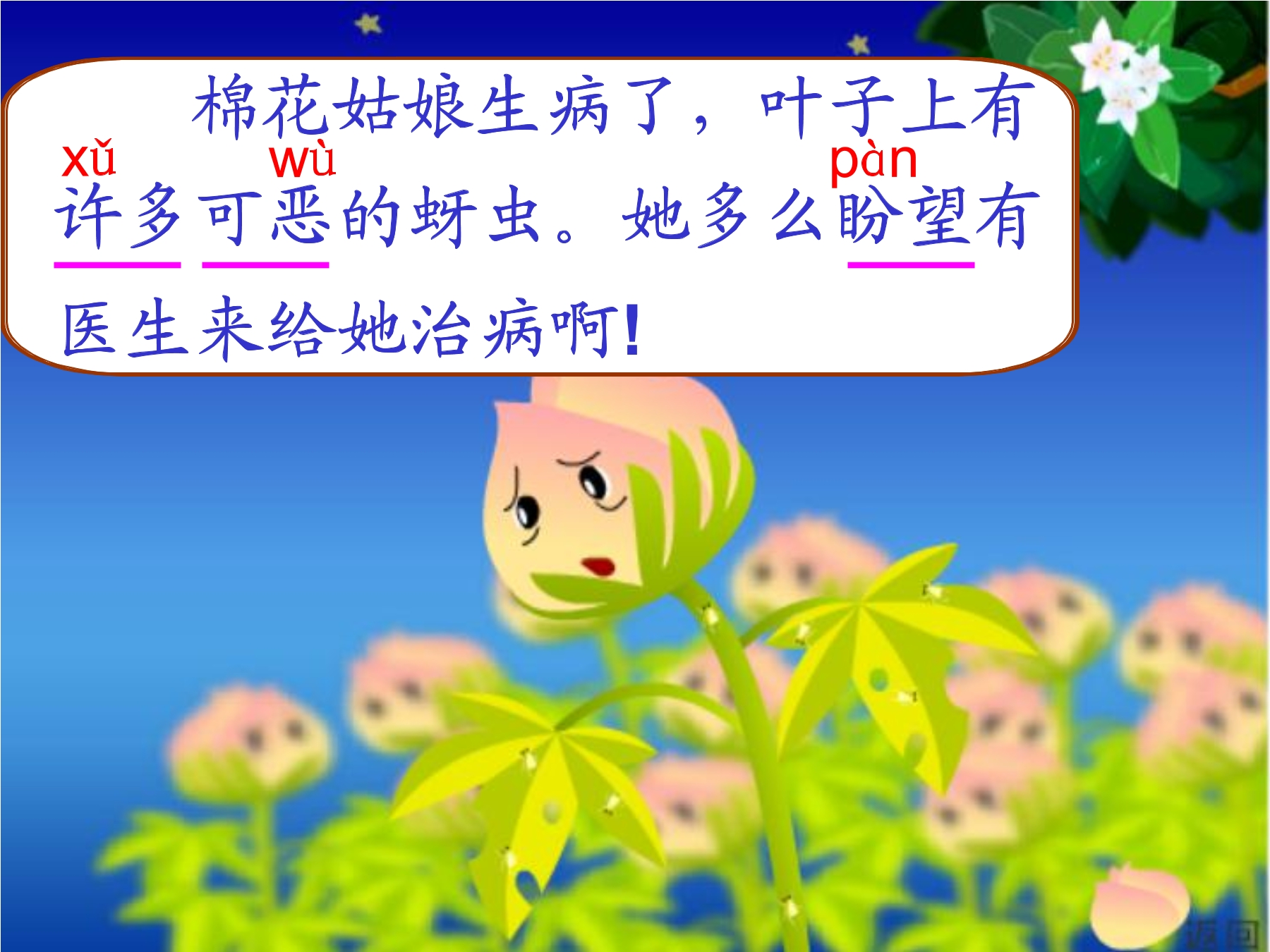 17.jpg