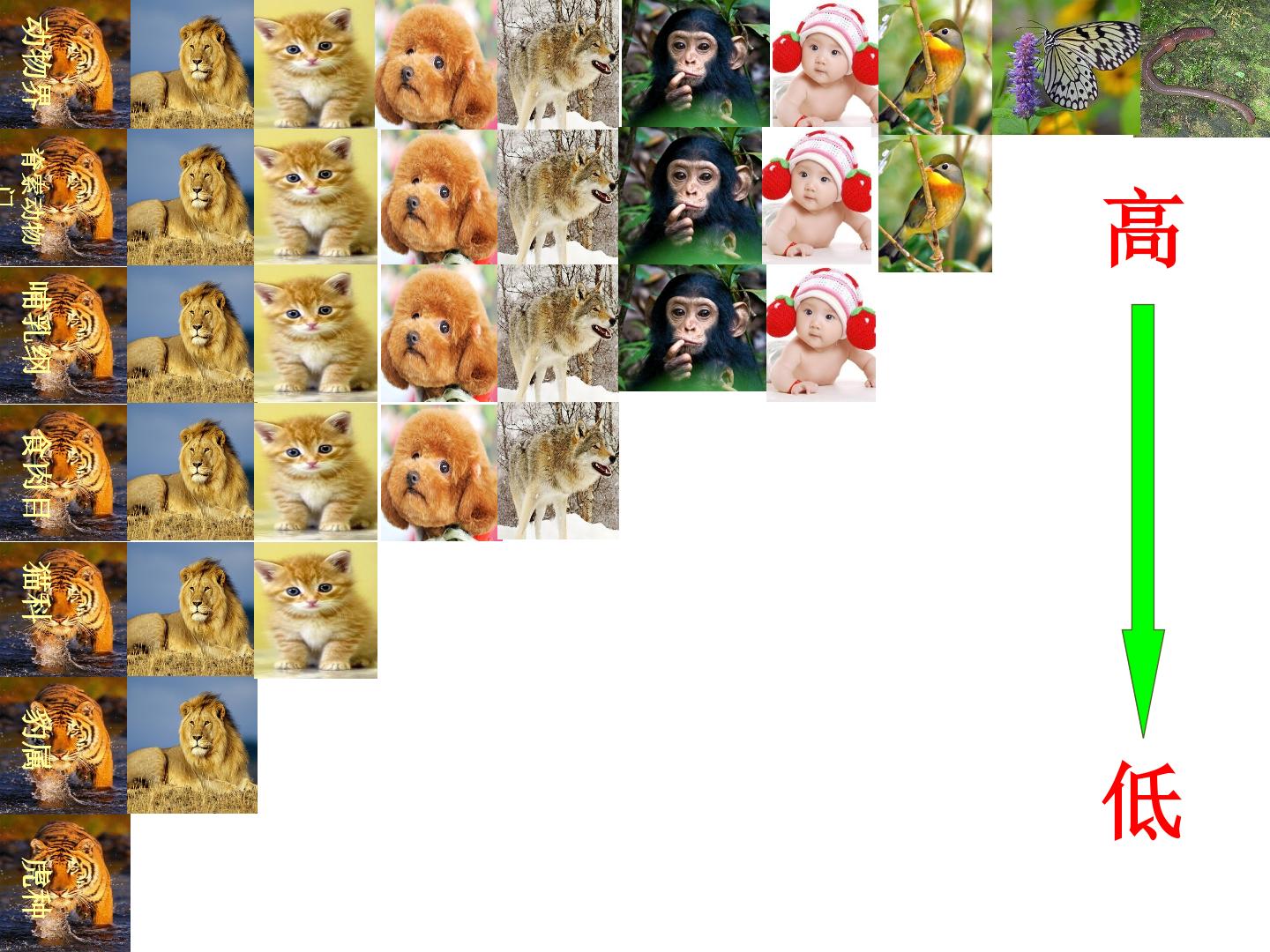 15.jpg