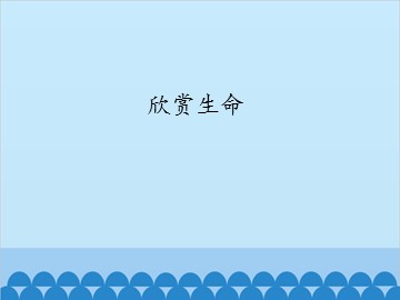 欣赏生命_课件1