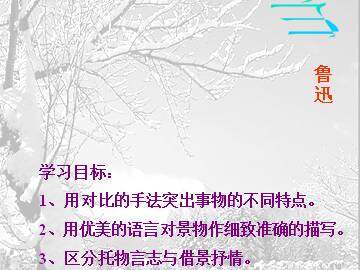 雪_课件6