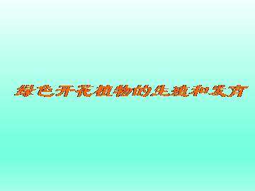 绿色开花植物的生殖和发育_课件4