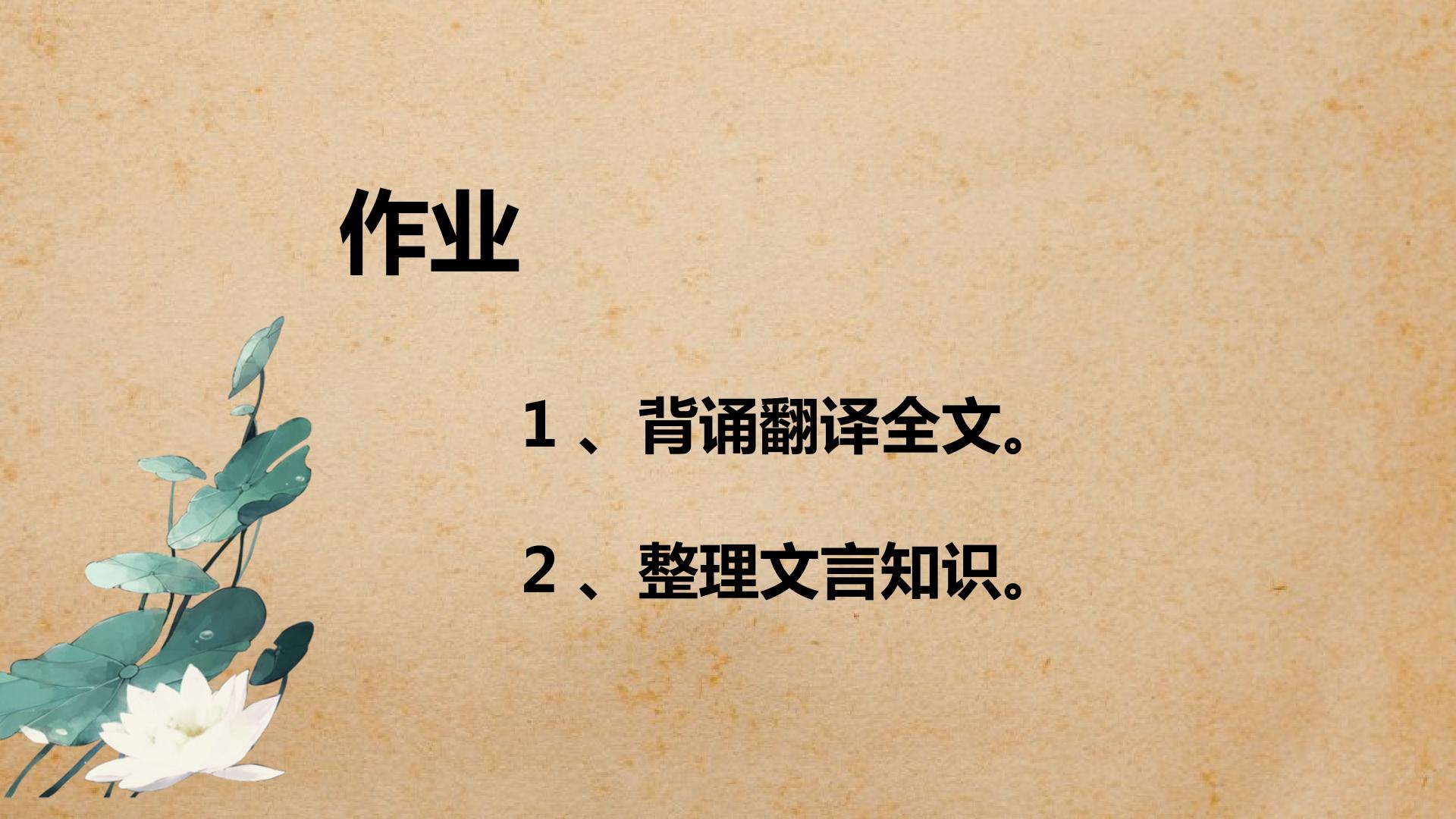 52.jpg