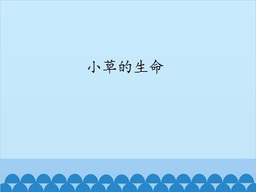 小草的生命_课件1