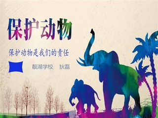 保护动物课件