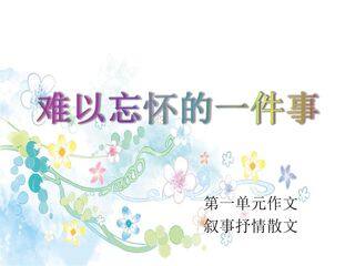 难忘的一件事,作文指导