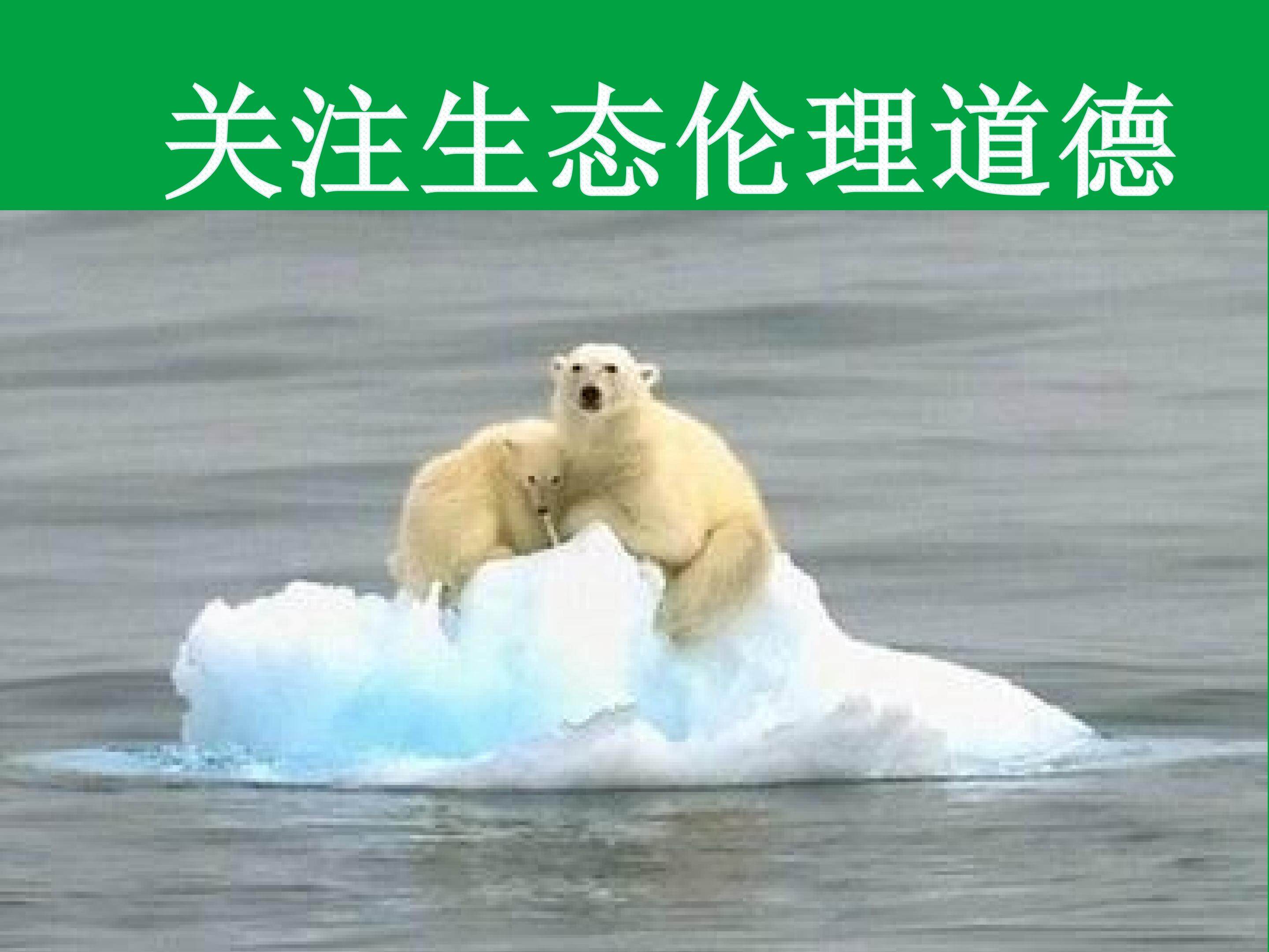 关注生态伦理道德