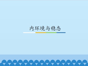 内环境与稳态_课件1