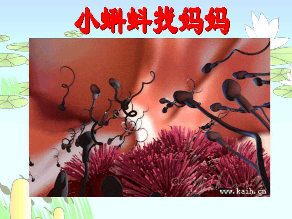 《小蝌蚪找妈妈》课件