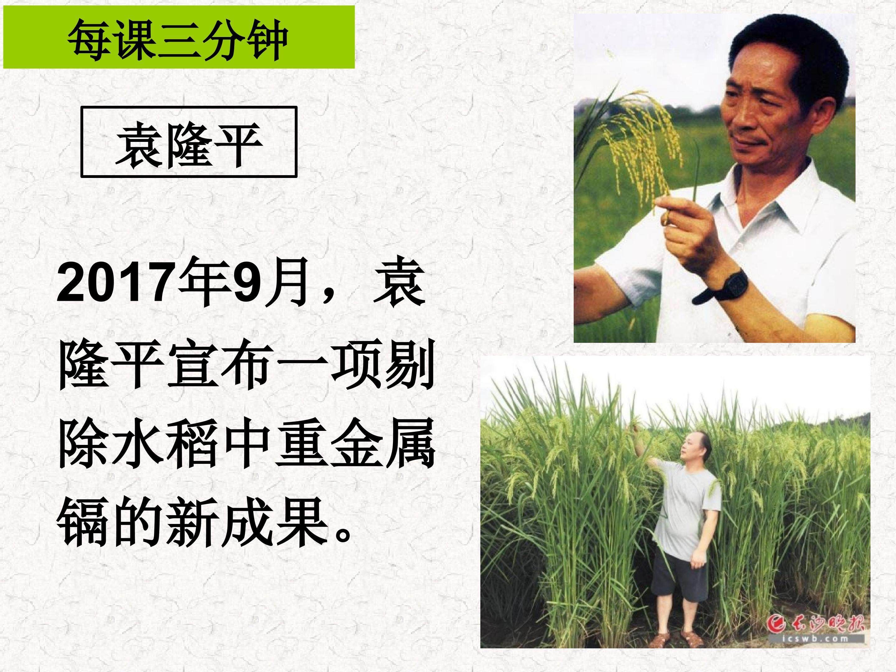 1.1 孟德尔的豌豆杂交实验（一）【第一课时】