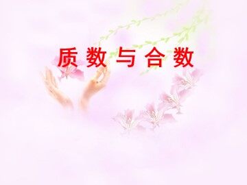3. 质数和合数