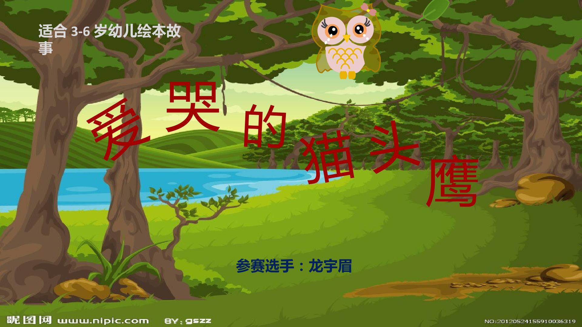 爱哭的猫头鹰