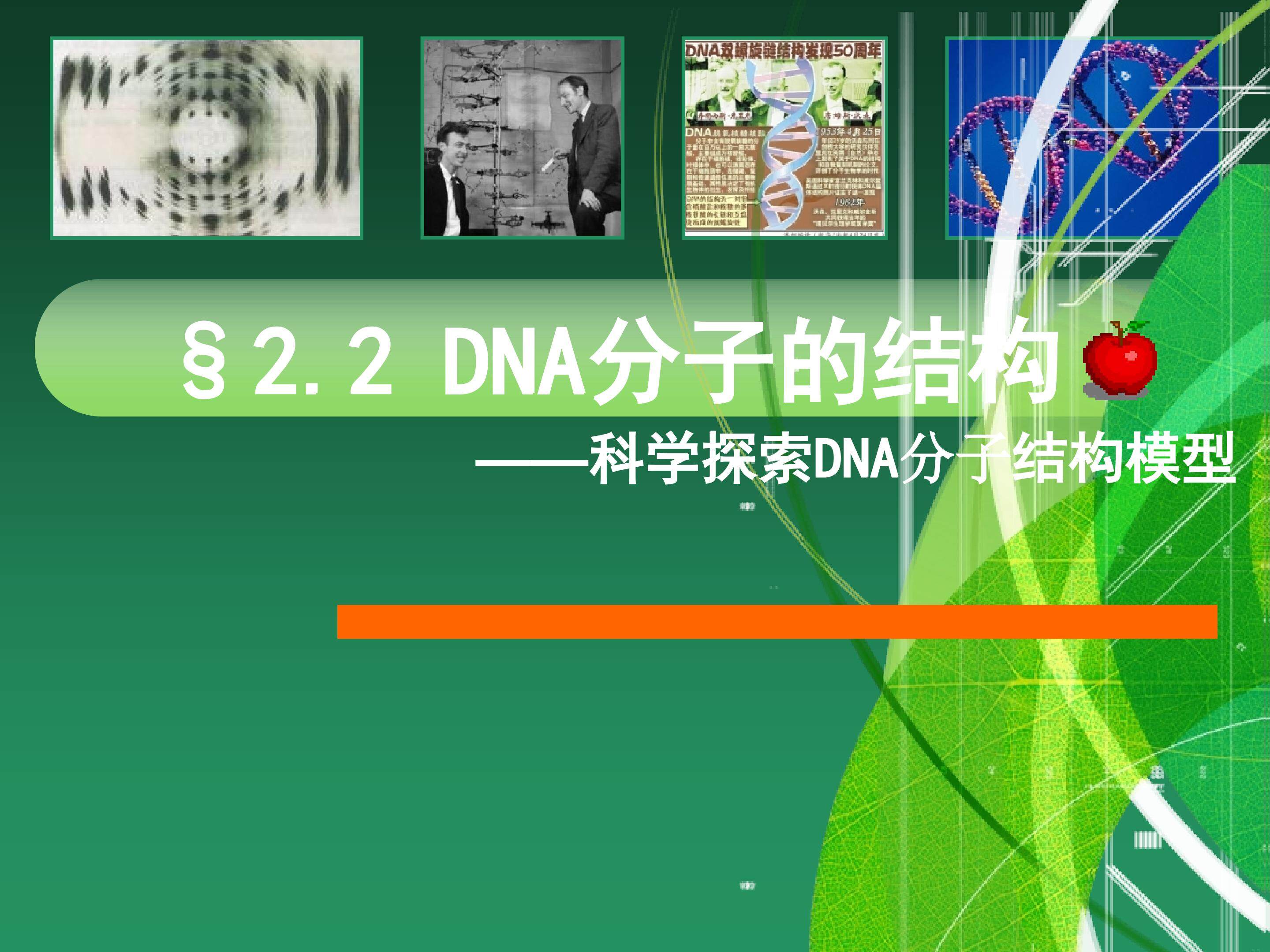 DNA分子的结构