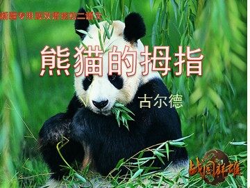 《海底两万里》：科学与幻想之旅
