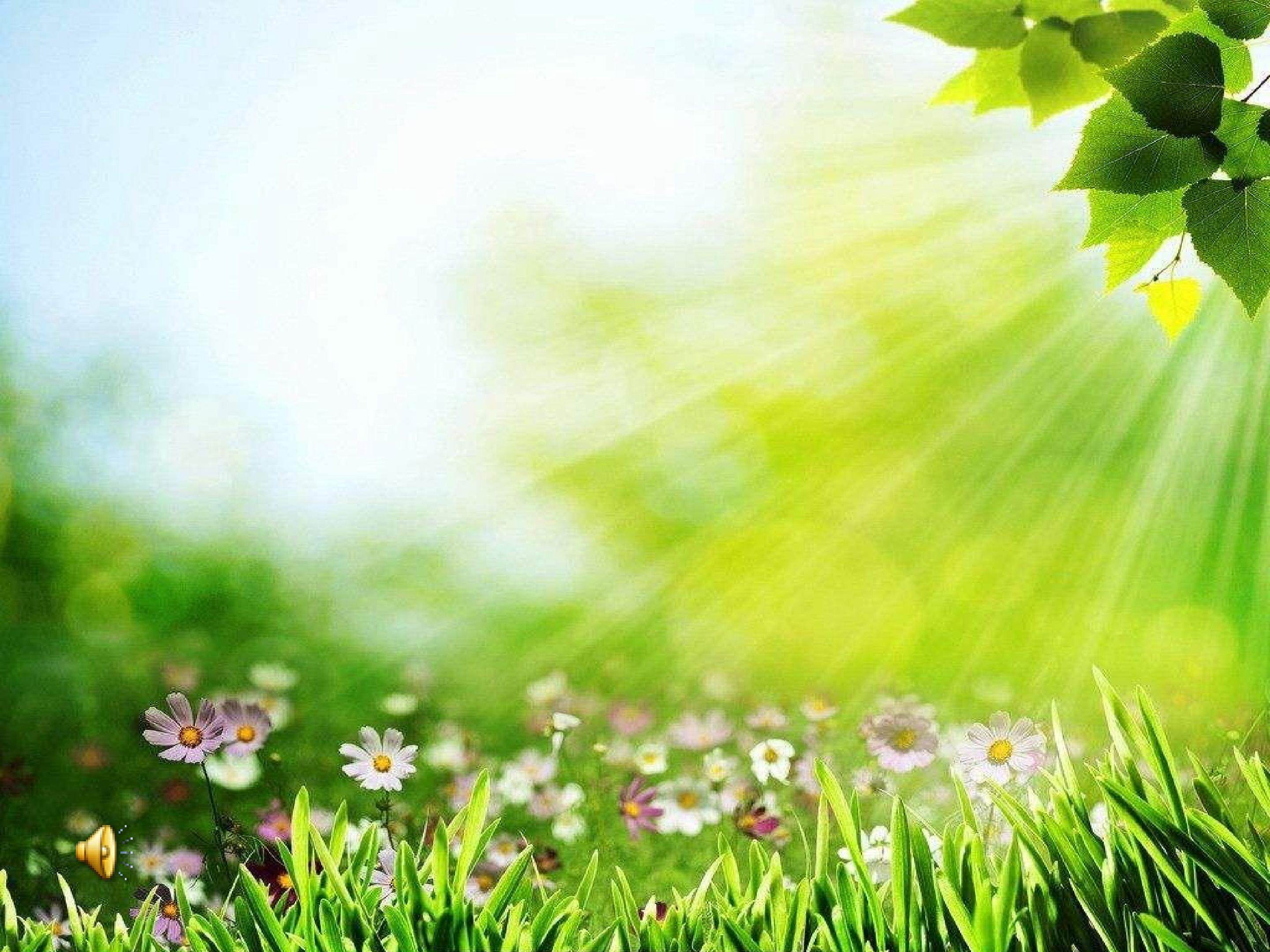 苏少版四年级上册第六单元《朝景》