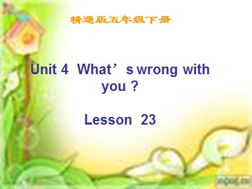 Unit 6 What’s wrong with you?