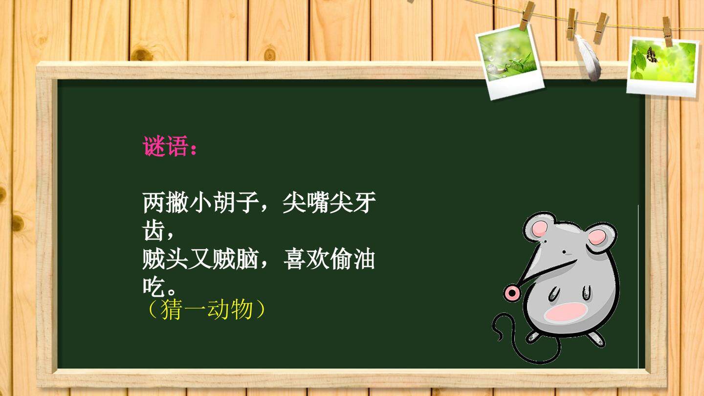 小小鼠标动起来