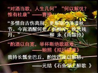 饮酒(其五)_课件2