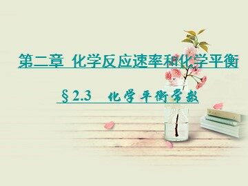 第三节 化学平衡