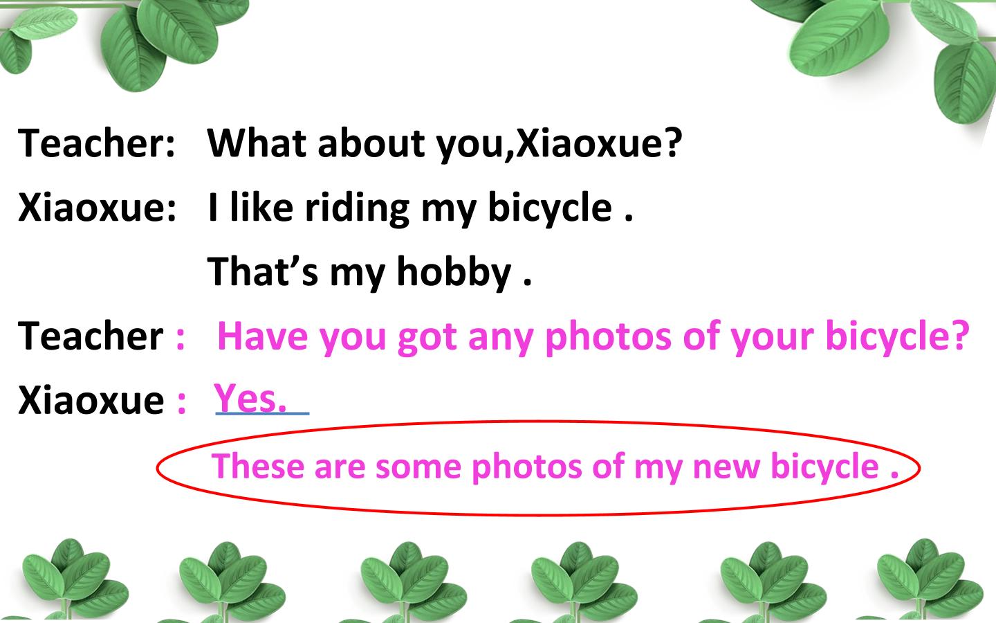 53.jpg