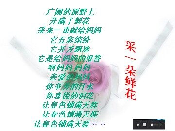 23* 卡罗纳