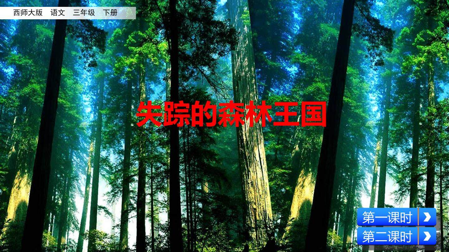 失踪的森林王国