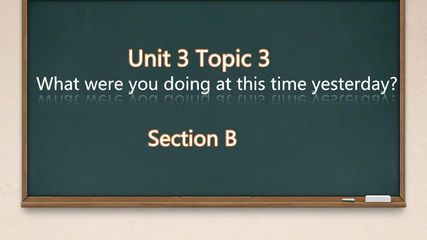 仁爱版八上Unit 3 Topic 3 Section B