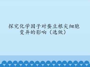 实验8.3  探究化学因子对蚕豆根尖细胞变异的影响（选做）_课件1