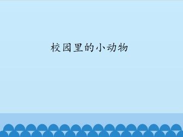 校园里的小动物_课件1