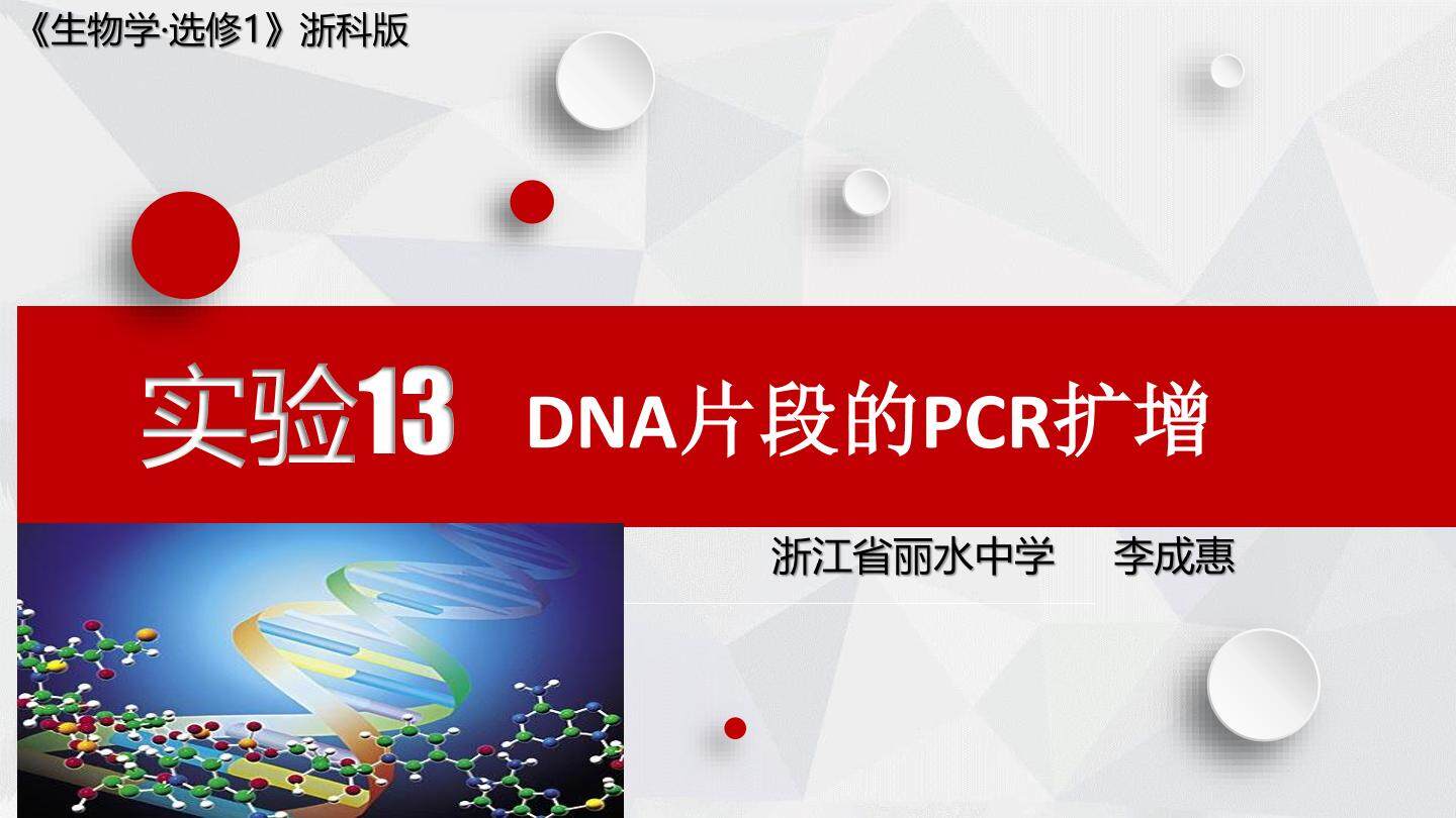 实验13 DNA片段的PCR扩增课件