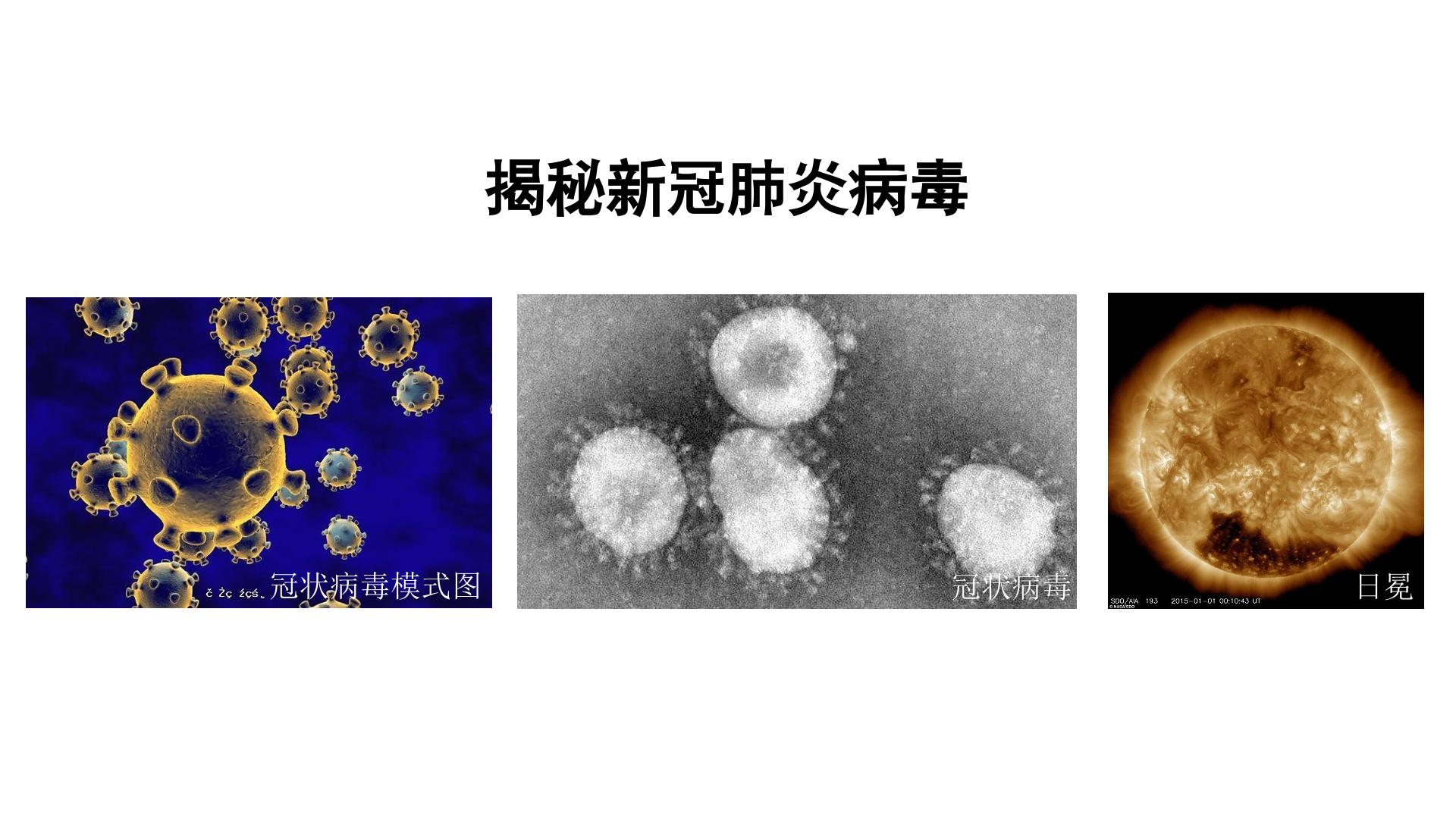 揭秘新冠肺炎病毒