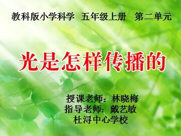 漳浦县杜浔中心学校.科学.林晓梅