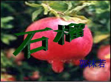 石   榴_课件2