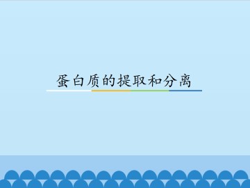蛋白质的提取和分离_课件1