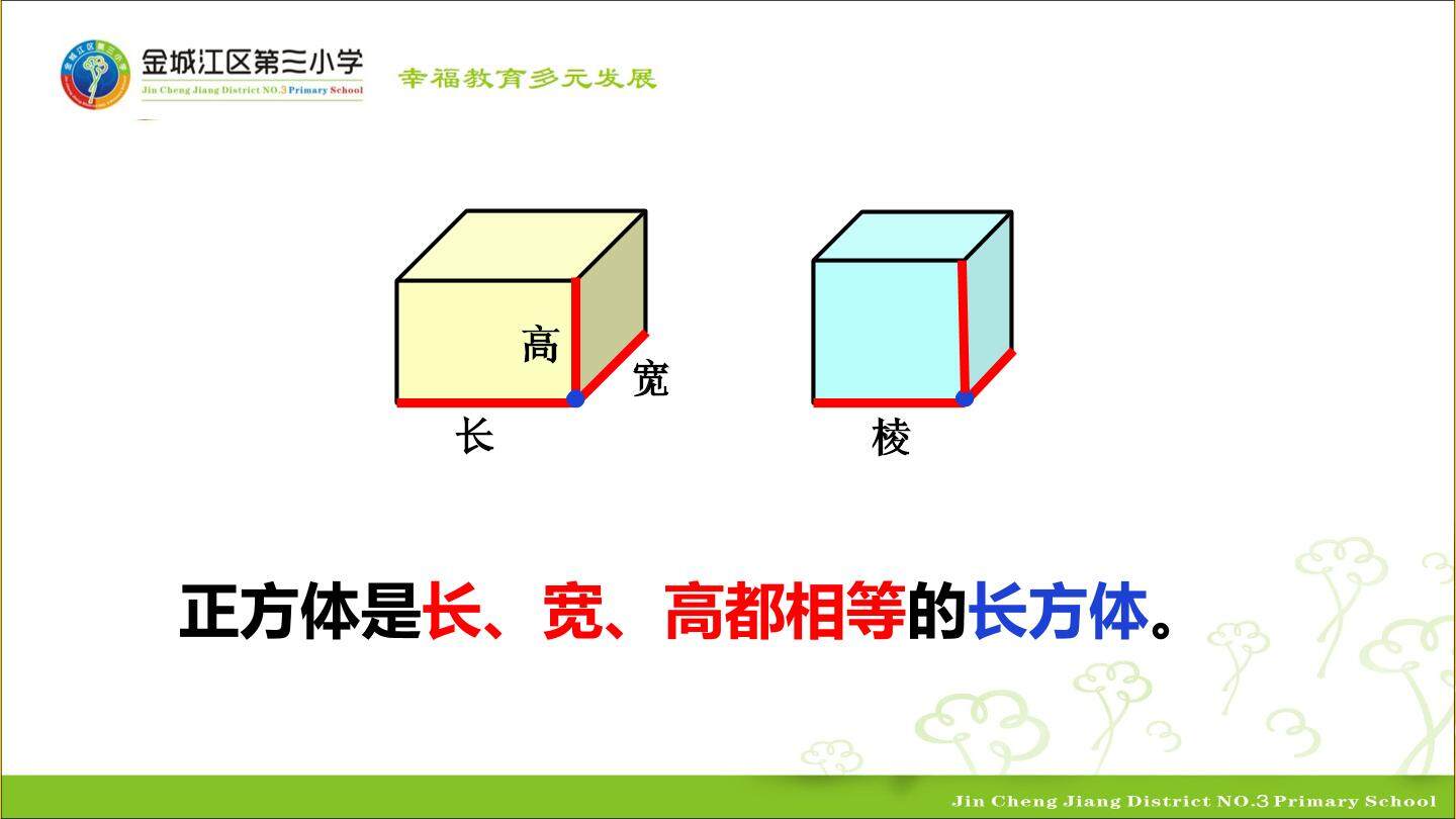 长方体和正方体的棱长特征与体积的练习
