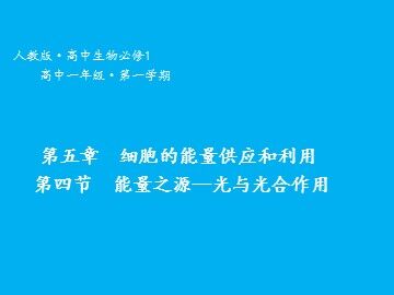 二  光合作用的原理和应用