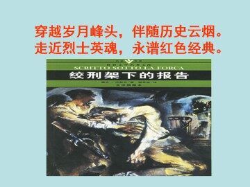 绞刑架下的报告（节选）_课件1