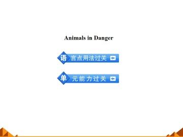 Animals in Danger_课件5