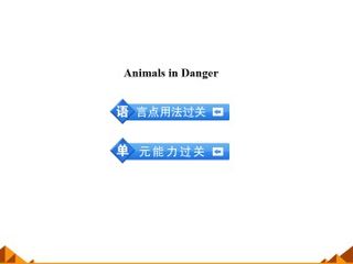 Animals in Danger_课件5