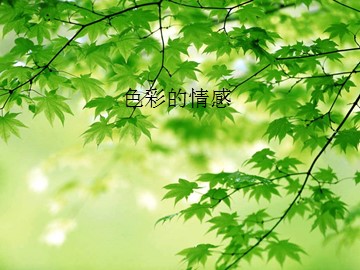 色彩的情感_课件1