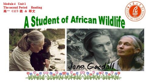 A Student of Wildlife