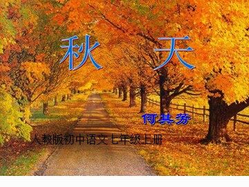 14 *秋天
